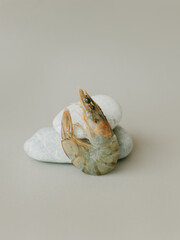 Shrimp and stones on a beige background.