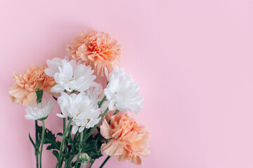 Beautiful peach pastel carnation and white chrysanthemum flowers on a pink background.