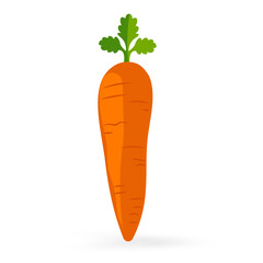 A fruity carrot icon isolated on white background vector illustration