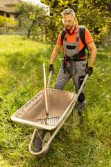 Portrait of worker holding wheelbarrow with garden rake in the back yard. Gardening concept.