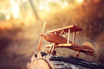 Nostalgic and magical image of wooden airplane in the forest at sunset