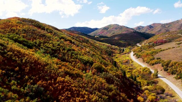 Fall Colors in Emigration Canyon Utah