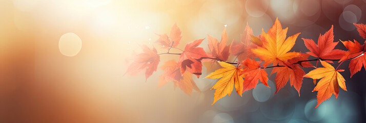 Naklejka na ściany i meble Colorful universal natural panoramic autumn background for design with orange leaves and blurred background.