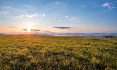 Fototapeta premium Golden Horizons: A Rural Landscape