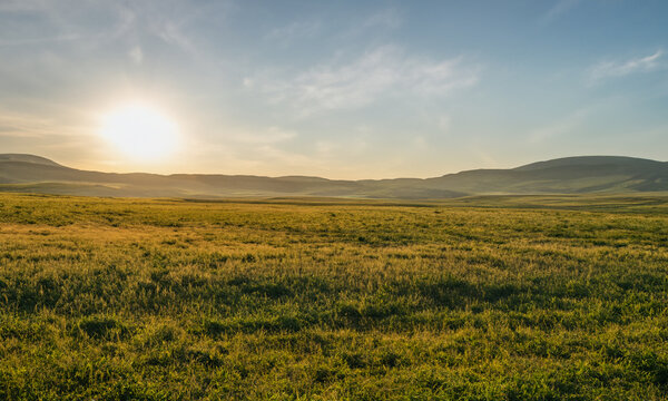 Golden Horizons: A Rural Landscape © Freya