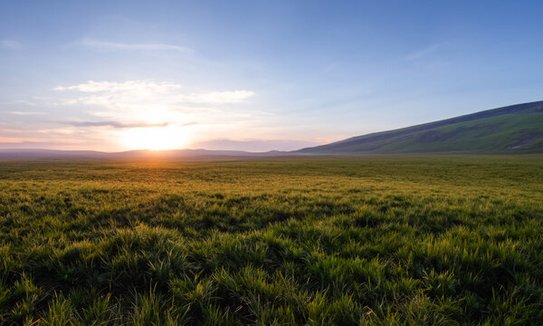 Golden Horizons: A Rural Landscape © Freya