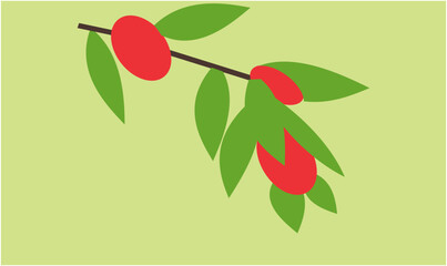 red hot chili peppers