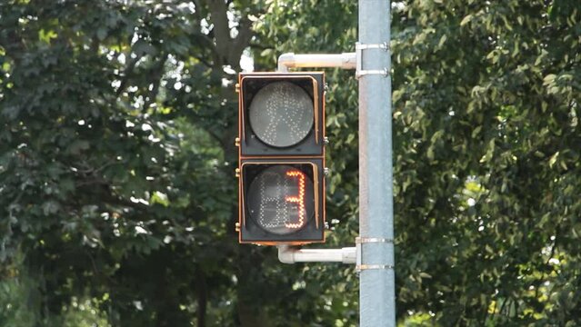 countdown numbers crosswalk walk walking dont walk to hand stop red symbol traffic light direction of hand digital electric electronic yellow black on post road street