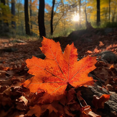 Fall's Finest: Witness Nature's Spectacle in a Mesmerizing Explosion of Autumn Hues!