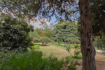 Villa Charax is a manor castle with a park area on the territory of the village of Gaspra, Crimea. Russia. 25.08.2023