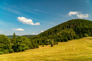 On the tourist trail.