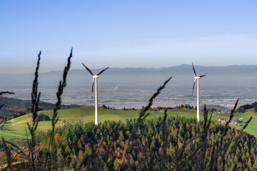 wind turbines in the field