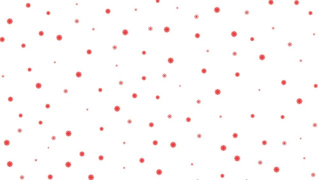 Animated Christmas red snow background. It is snowing. Snowfall with snowflakes isolated on white background. Looped video.