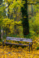 bench in autumn park