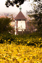 autumn in the park, Freiburg