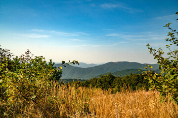 A mountain range in the Bieszczady Mountains in the area of Tarnica, Halicz and Rozsypaniec.
