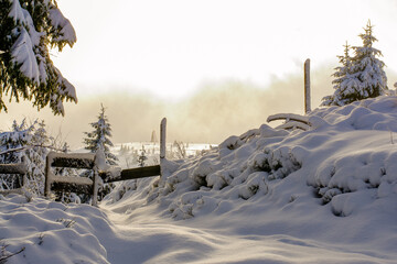 winter in the mountains