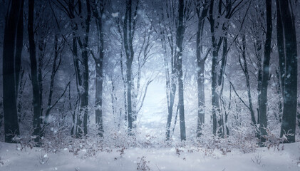 fantasy winter forest landscape with snow flakes falling - 656605507