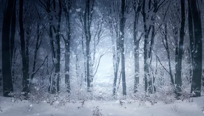Fotobehang fantasy winter forest landscape with snow flakes falling © andreiuc88