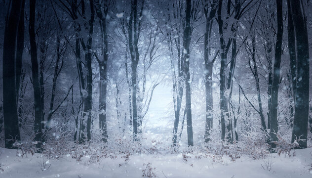 fantasy winter forest landscape with snow flakes falling