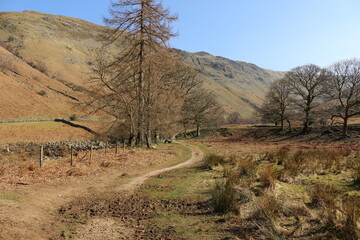 road in the mountains