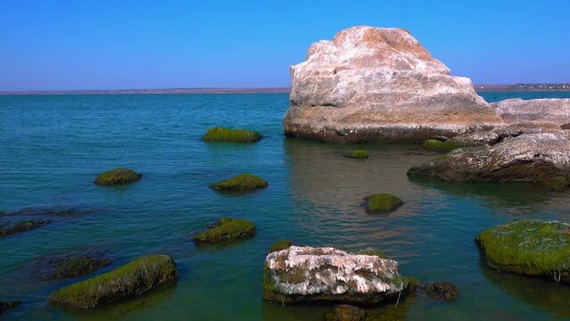 Natural landscape, green Enteromorpha algae on rocks near the shore of the Khadzhibey estuary