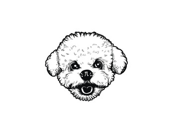 Bichon Frise Charm: An Adorable Vector Illustration of a Fluffy Dog