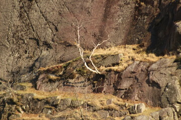  rock texture