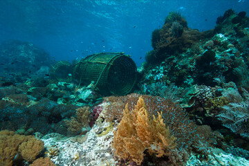 Fish trap placed on a coral reef. - obrazy, fototapety, plakaty