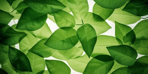 Green leaves background. Natural green leaves plants using as spring background cover page environment ecology or greenery wallpaper, Generative AI