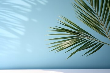 Fototapeta na wymiar Blurred shadow from palm leaves on the light blue wall