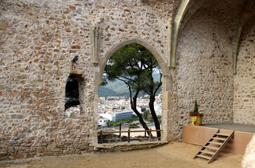 Entrance door to a building or structure. The texture of the material from which the doors are made.
