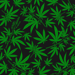 Cannabis, marijuana background. Collection icon cannabis and marijuana. Vector