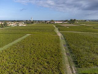 Aerial view on left bank of Gironde Estuary with green vineyards with red Cabernet Sauvignon grape...