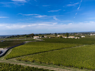 Fototapeta na wymiar Harvest time in Saint-Emilion medieval village, wine making region on right bank of Bordeaux, ready to harvest Merlot or Cabernet Sauvignon red wine grapes, France in september, aerial view
