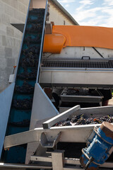 Harvest works in Saint-Emilion wine making region of Bordeaux, picking, sorting with hands, crushing Merlot or Cabernet Sauvignon red wine grapes, France, concrete and steel tanks