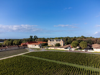 Aerial view on left bank of Gironde Estuary with green vineyards with red Cabernet Sauvignon grape...