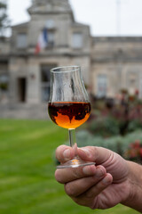 Tasting of Cognac strong alcohol drink in Cognac region, Charente with view on ols houses and...