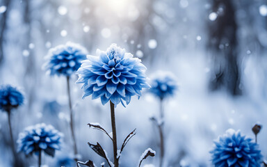 Beautiful blue dahlia flower on smooth nature winter snowing bokeh background
