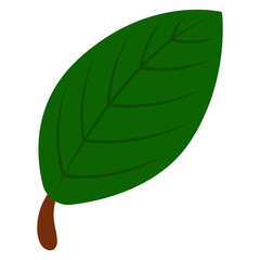 Hola verde vector, icono para incluir en diseños © Fernanda Rosas
