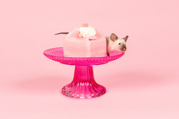 Pink cake with a cute house mouse on a pink background