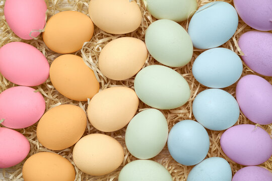 Multicolored chicken eggs on wood shavings. Easter. Shooting from above close up. Pastel lgbt colors.