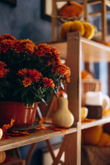 Pumpkin decorations with hay, baskets, and cozy chair place