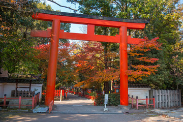 Fototapeta na wymiar Torii red wooden gate Japan traditional in Shinto shrines temple entrance symbol of transition from the mundane to the sacred