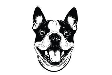 Boston Terrier Majesty: A Regal Vector Portrait of a Boston Terrier