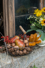 Korb aus Metall gefüllt mit Nüssen und Birnen, Herbst Dekoration
