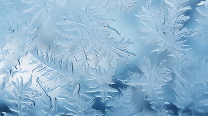 A close-up of frost patterns on a windowpane.