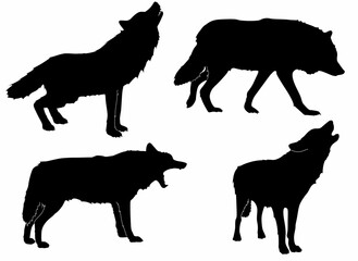 wolf silhouette set. Isolated wolf silhouette, icon, vector - obrazy, fototapety, plakaty