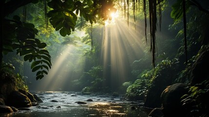 Sunbeams filtering through the canopy of a dense rainforest. - obrazy, fototapety, plakaty