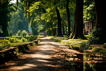 a beautiful view of a park with a bench